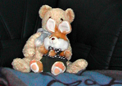 Teddybär_240x170